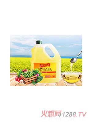 ������滨����3L