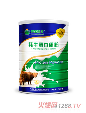 ����ݱ���ţ�����|��