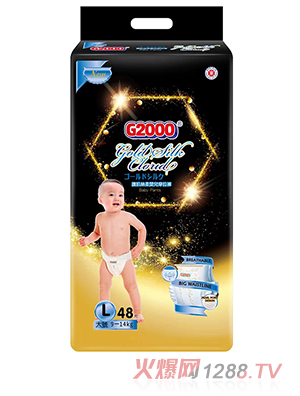 G2000�o���z��냺����ѝL48Ƭ