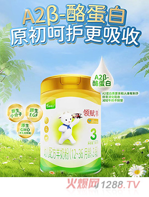 領(lǐng)賦羊youe配方羊奶粉(12-36月齡，3段)