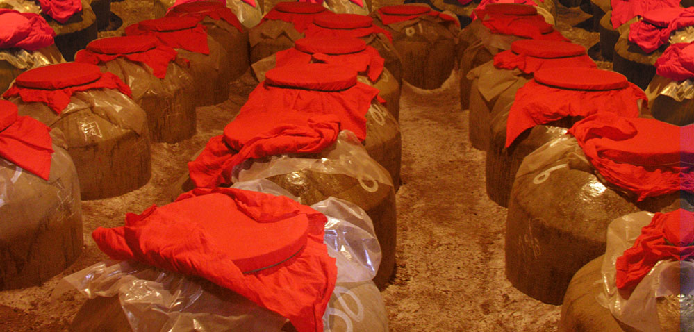 ����ɽ��(zh��n)�԰l(f��)����ĸ��l(f��)չՓ���F(xi��n)��(ch��ng)