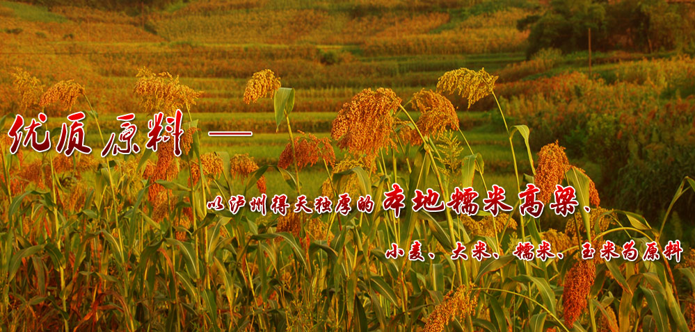 ����ɽ��(zh��n)�԰l(f��)����ĸ��l(f��)չՓ���F(xi��n)��(ch��ng)