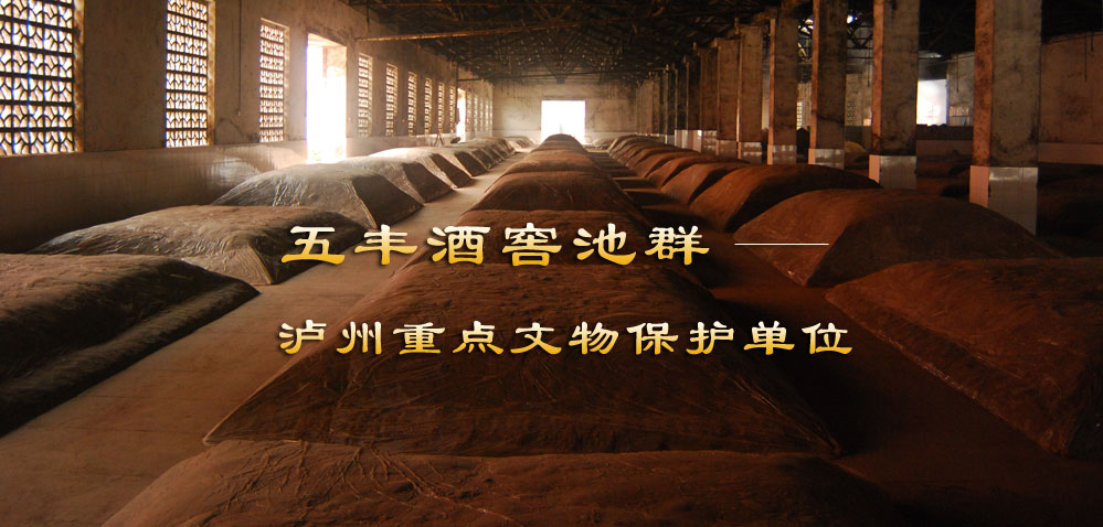 ����ɽ��(zh��n)�԰l(f��)����ĸ��l(f��)չՓ���F(xi��n)��(ch��ng)